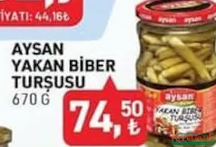 AYSAN YAKAN BİBER TURŞUSU 670 G indirimli fiyat AYSAN YAKAN BİBER TURŞUSU 670 G fiyat ve kampanya bilgisi